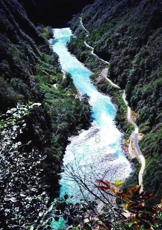 王福重大谈中医无用论,怨念如此深,有何缘由?